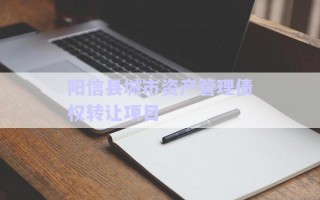 陽信縣城市資產(chǎn)管理債權轉(zhuǎn)讓項目