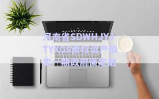 河南省SDWHJYJTYXGS債權資產(chǎn)拍賣一期政府債定融