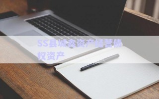 SS縣城鑫資產(chǎn)經(jīng)營債權(quán)資產(chǎn) SS縣城鑫資產(chǎn)經(jīng)營債權(quán)資產(chǎn)