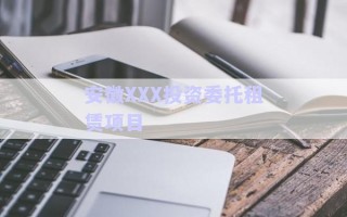 安徽XXX投資委托租賃項(xiàng)目 安徽XXX投資委托租賃項(xiàng)目