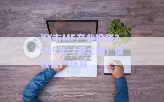 XX市MF產(chǎn)業(yè)投資2025年(第二期)債權(quán)資產(chǎn)項目 XX市MF產(chǎn)業(yè)投資2025年(第二期)債權(quán)資產(chǎn)項目