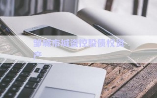 鄒城市城資控股債權(quán)資產(chǎn) 鄒城市城資控股債權(quán)資產(chǎn)