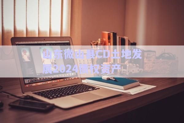 山東微山縣CD土地發(fā)展2024債權資產-第1張圖片-政信固收網