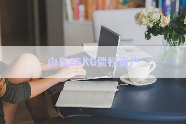 山東ZFKG債權資產(chǎn)-第1張圖片-政信固收網(wǎng)