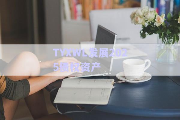 TYXWL發(fā)展2025債權資產-第1張圖片-政信固收網(wǎng)